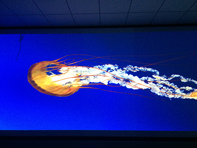 索诺克Sonnoc融合方案驻安徽省滁州二小报告厅