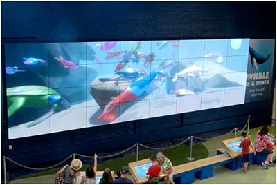 美国海洋水族馆选用RGB显示处理器控制其4K视频墙