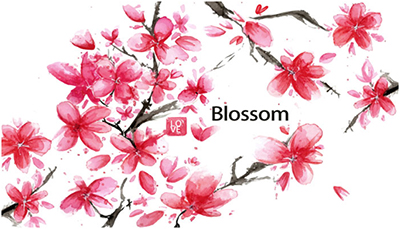 AVANZA帅映新年献词：2018, 让梦想绽放