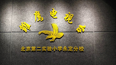 datavideo洋铭助展翅的雏鹰翱翔在天空