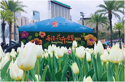 2019香港花卉展览，ALLEN&HEATH、Community万花争艳