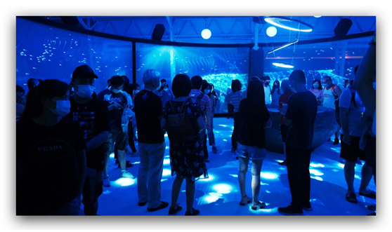 奥图码（Optoma）斩获三项美国缪思创意国际大奖